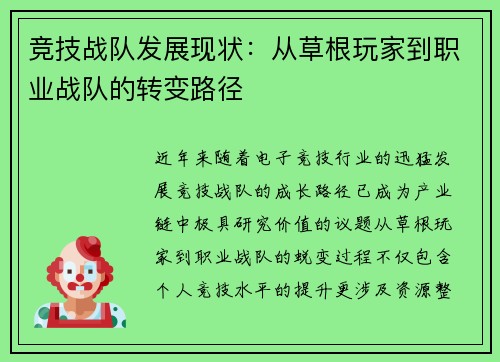 竞技战队发展现状：从草根玩家到职业战队的转变路径